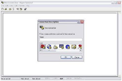 Hyperterminal for emulation
